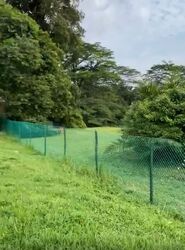 Tanglin Hill (D10), Detached #589839451